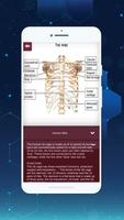 Complete 3D Female Anatomy تصوير الشاشة 1