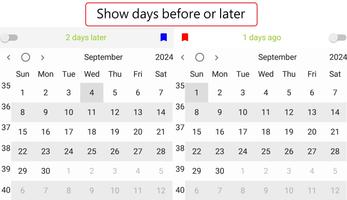 Dual Calendar - Day Counter 海報