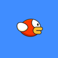 Sleek Bird