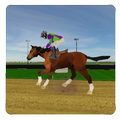Rider Horse Champion