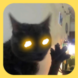 Dabloon Tracker : Dabloon Cons