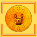 Dabloon Counter Master APK