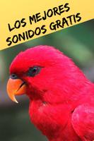 Tonos y Sonidos de Pájaros, Canto de Aves Gratis. ảnh chụp màn hình 1