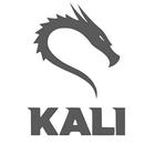 Kali Linux Penetration Testing Mobile icône
