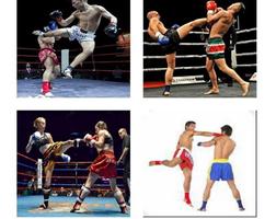 muay thai penulis hantaran