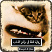 رواية قطة فى براثن الذئاب