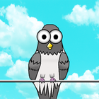 Puugeon - Boyalı ve Renkli Kuş Çocuk Oyunu icono