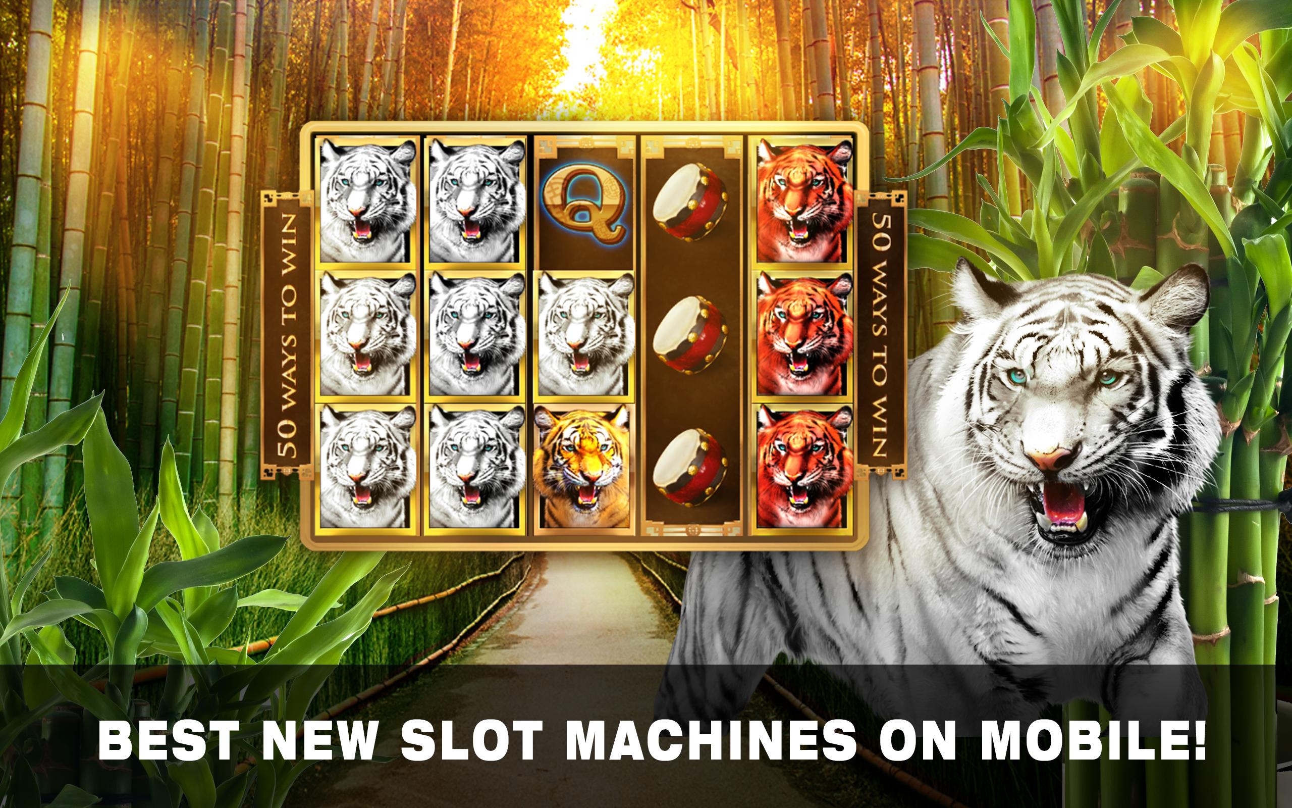 King tiger casino ставки на спорт апл