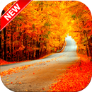 Jalan Wallpaper 🛣️ APK