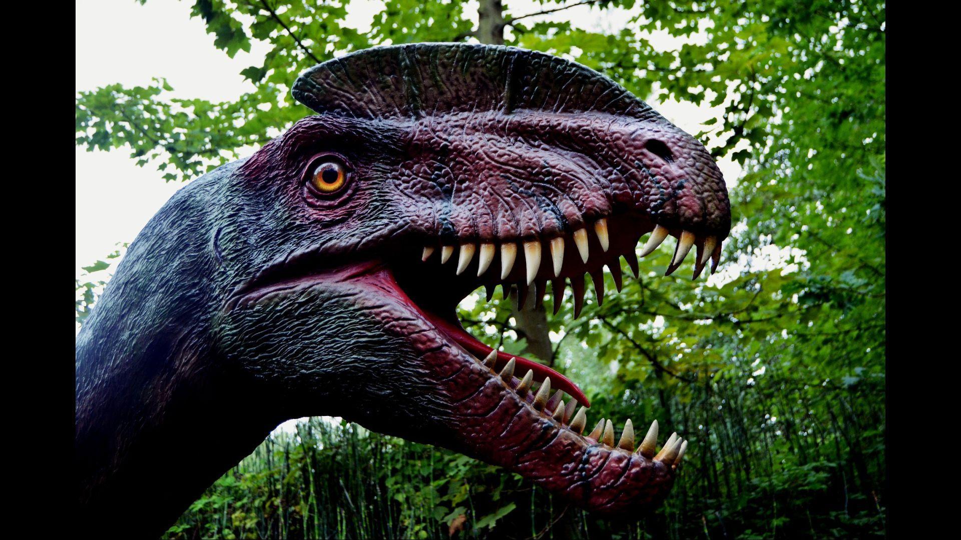 Опасные динозавры в мире. Дино парк Великие Луки. ТАНУР динозавр хищник. Самый большой динозавр в мире Юрского периода хищник. Самый большой динозавр в мире Юрского периода Спинозавр.
