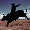 RODEO DASH APK
