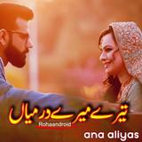 Tere Mere Darmiyan أيقونة
