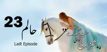 Haalim Episode 23