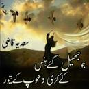Jo Jhel Gay Hans-K Kari Dhoop K Taver APK
