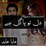 Dil To Pagle Hai أيقونة