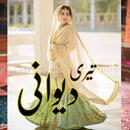 Teri Deewani - Urdu Romantic APK