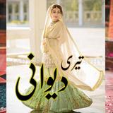 Teri Deewani - Urdu Romantic icône