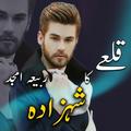 Qily Ka Shahzada