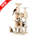 Cat  Room Idea