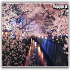 Romantic Sakura Live Wallpaper icône