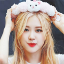 Rose Black Pink Wallpaper HD 2 APK