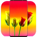 Rose Flower Wallpaper APK