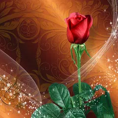 Roses Live Wallpaper APK download