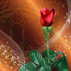 Roses Live Wallpaper آئیکن