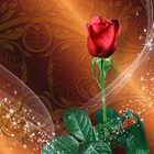 玫瑰動態桌布 – 美麗背景圖片 圖標