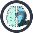 Brainex 2-math puzzles IQ test