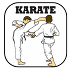 Karate Learning Gallery icon