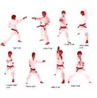 برنامه‌نما گالری یادگیری کاراته عکس از صفحه