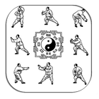 Technique Gallery Of Tai Chi ikona