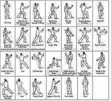 Technique Gallery Of Tai Chi স্ক্রিনশট 1