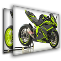 Motor Sport Gallery