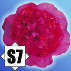 Uliana's Art Game icon