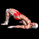 Kegel For Men Plevic Exercises APK