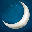 White noise: sleep therapy APK