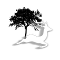 Fauna Terezín