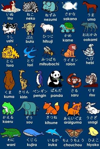 Animal Name in Japan APK for Android Download