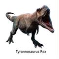 Dinosaurs Name