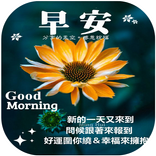早上好鲜花 2022