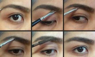 Steps to Form Eyebrows for Beginners screenshot 3