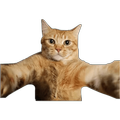 Stickers de memes divertidos