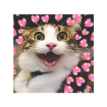 Romantic Cat Stickers