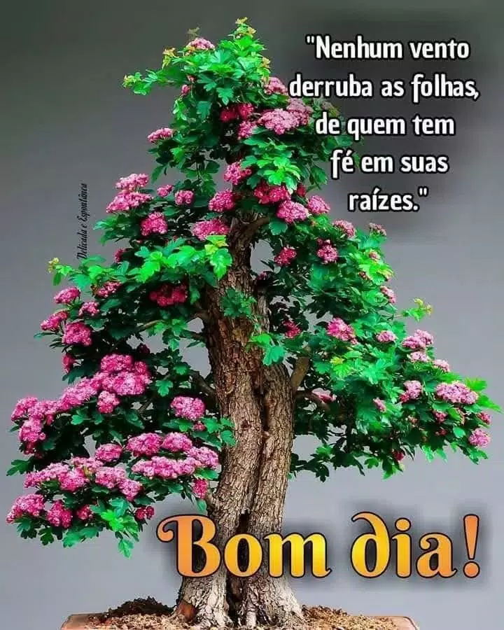 Tải xuống APK BOM DIA ,BOA TARDE ,BOA NOITE 4K GIF cho Android Tải xuống APK BOM DIA ,BOA TARDE ,BOA NOITE 4K GIF cho Android