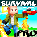Mod survival pro