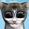 Googly Kitties APK