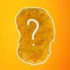 Nugget Runner icon