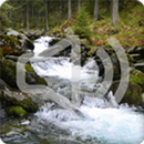 River Nature Sounds Ringtone APK